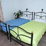 Rodavgi 3*