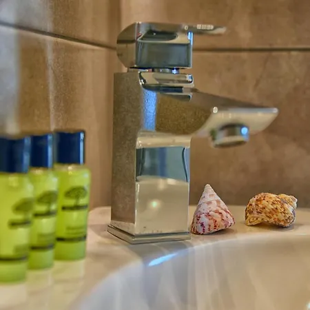 Ξενοδοχείο με διαμερίσματα Rodavgi Άνδρος